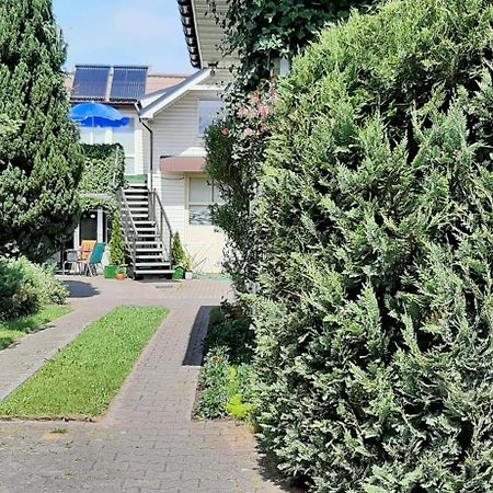 Noclegi U Gosi Mosty Kolo Gdyni Εξωτερικό φωτογραφία